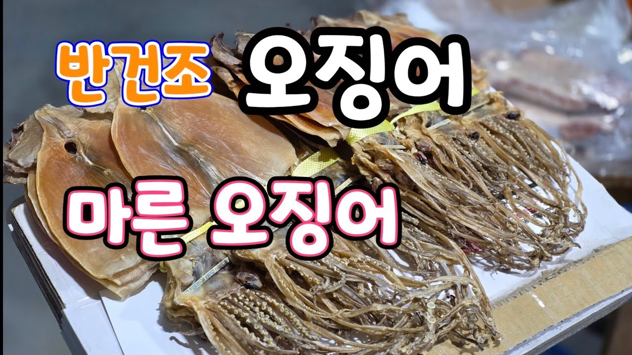 반건조 오징어,마른오징어,대저 토마토 🍅 짭짤이