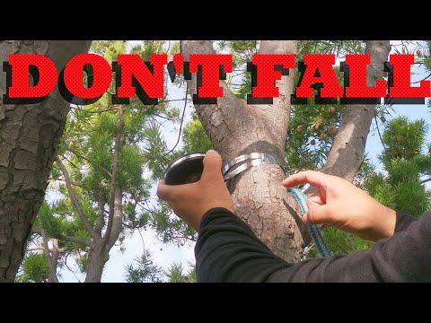 Why tree climbers should choose the proper tie in point - YouTube