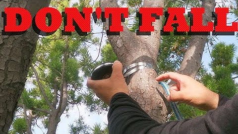 Why tree climbers should choose the proper tie in point