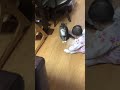 【赤ちゃんと猫】の癒し( ´ ▽ ` )