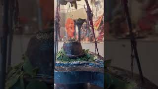 Om Namah Shivay #trending #viralvideo #youtubeshort #like #comment #shere #subscribers &amp; support kro