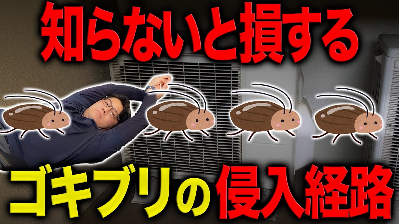 【ゴキブリ対策】注文住宅のプロが虫の侵入経路について解説します！