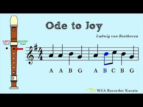Assignment 9 Black Belt   Ode to Joy