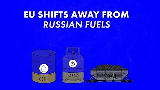Can the EU afford to phase out imports of Russian fuel?