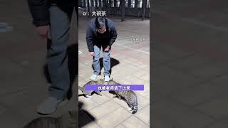 Kitten You ve won with Chinese-style education#Content-inspired search#Chinese-style