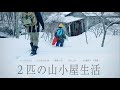【山小屋生活128】２匹の山小屋
