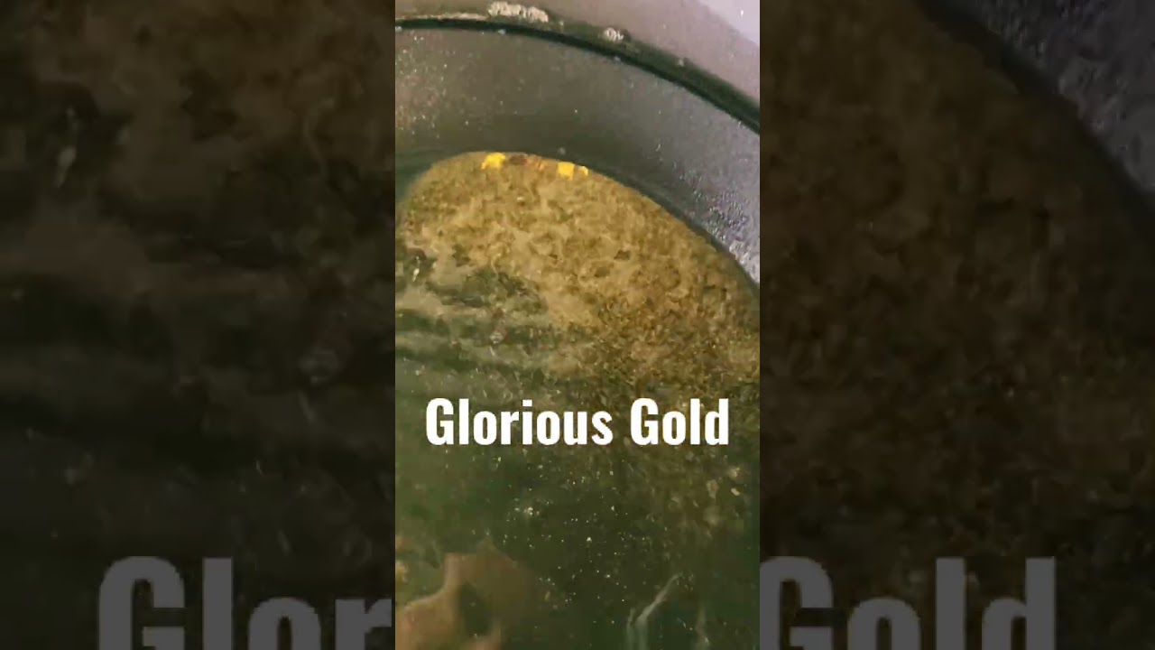 Gold Panning