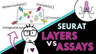 Normalisation, SCTransform and Integration in scRNA-seq: what they actually do to your data