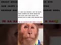 ab hoga upsc clear🤫#fypシ゚viral #foryou #monkey #memes #trendingshorts #funny #yt #duet #relatable