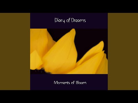 Diary of Dreams - Moments of Bloom