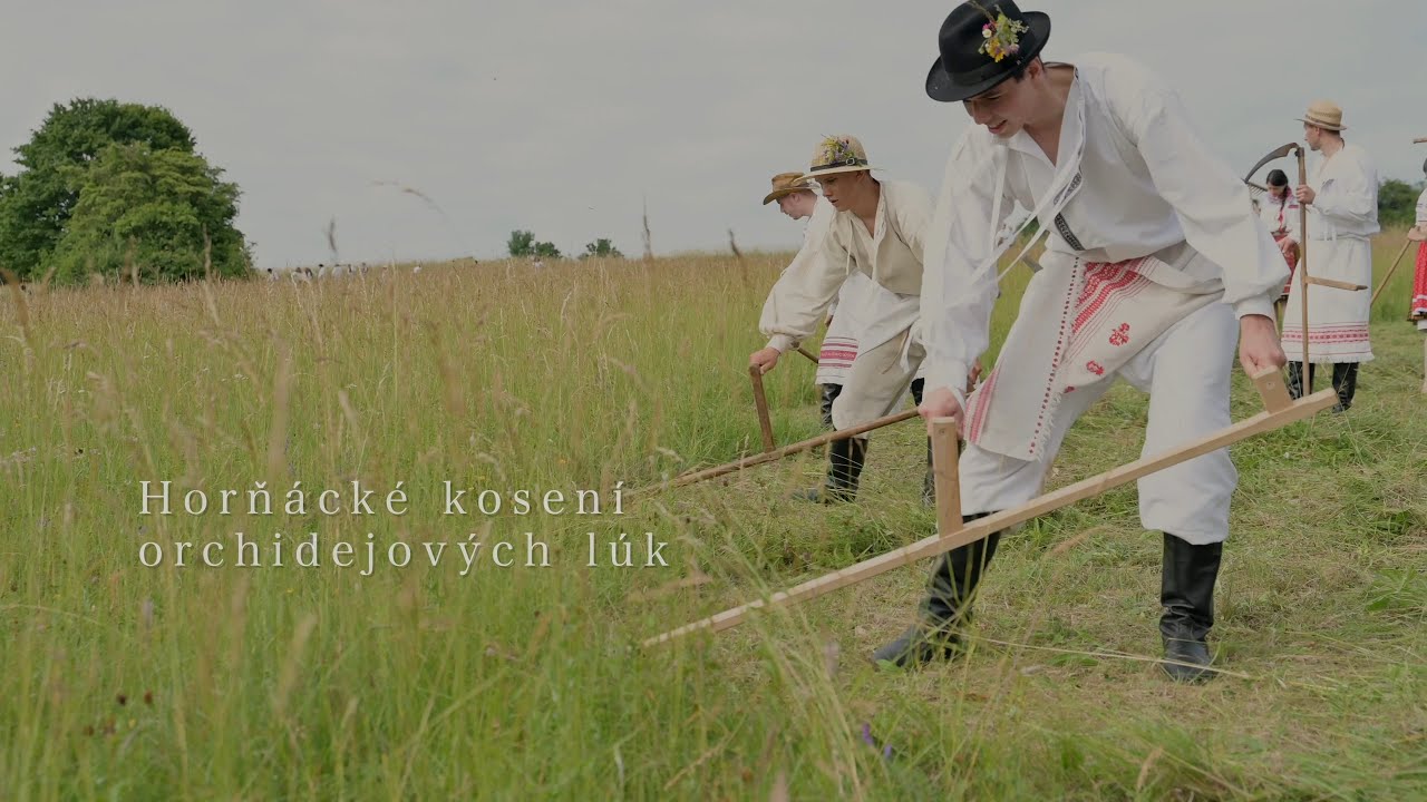 21. Horňacké kosení orchidejových lúk 2022