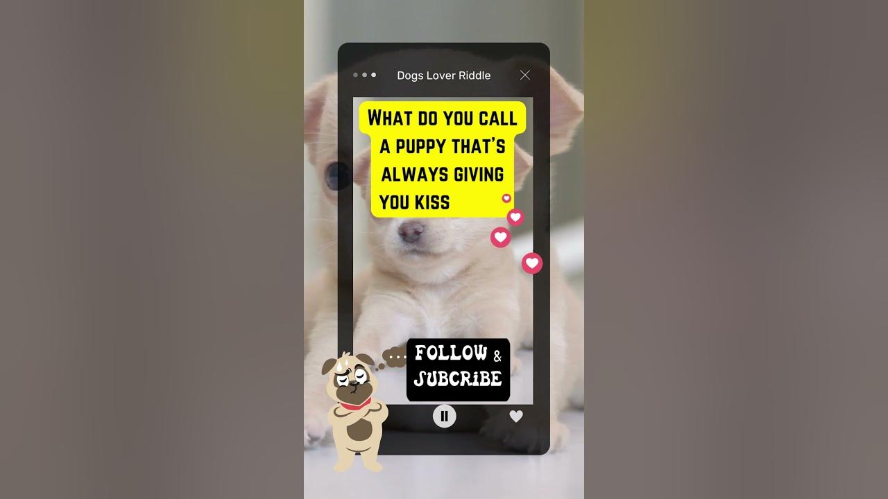 Dogs Riddle | Dogs Riddles in English | Riddles with Answer | Hard