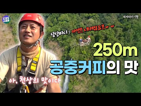 [#세계테마기행]커피 한잔 할래요~☕집에 돌아가고 싶은 담당 피디와 250m 공중에서 먹는 커피 │#EBS #EBS스토리