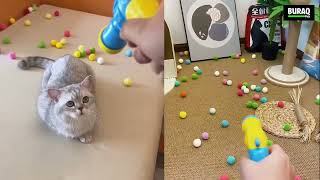 🎯 Best Interactive Cat Toy 2026 | Cat Gun Launcher | Buraq Pets screenshot 4