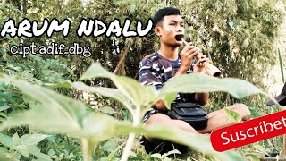 ARUM NDALU (kapagku kapang 2) cipt.adif_dbg cover selompret reog