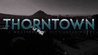 A Cities Skylines Multiplayer Experience: THORNTOWN