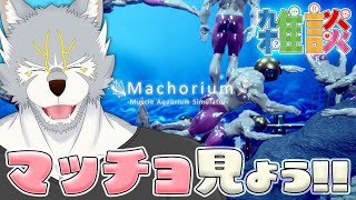 群れる筋肉に癒される雑談【マチョリウム -Muscle Aquarium Simulator-】 #雑談 #vtuber #twitter