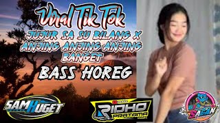 Lagu Tik Tok Viral Versi Cek Sound Bass Horeg | Jujur Sa Su Bilang X Anjing Anjing Anjing Banget Dj