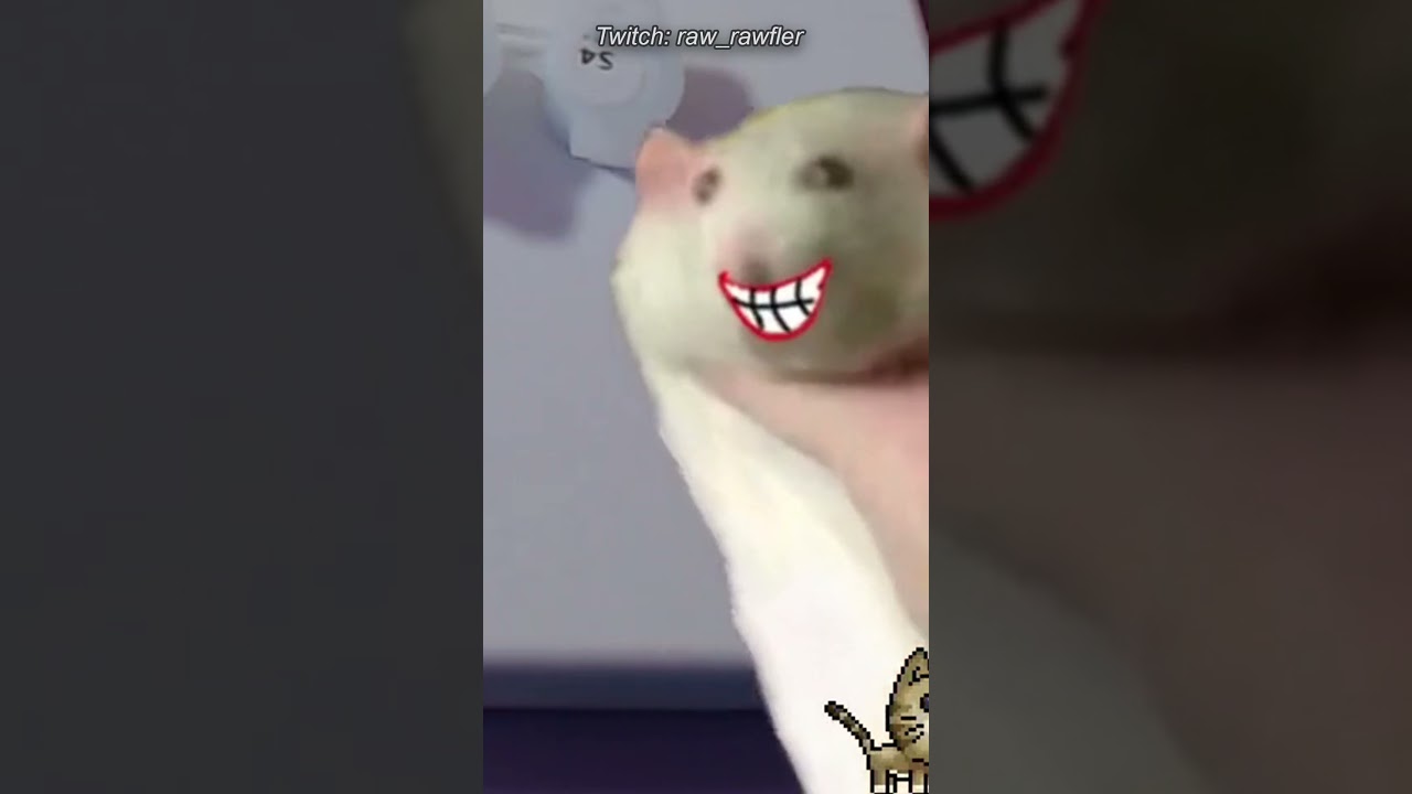 Специальное предложение 