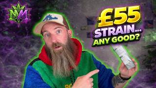 £55 UK Medical Cannabis… ANY GOOD? 👀 (Grey Goose T25 Review)