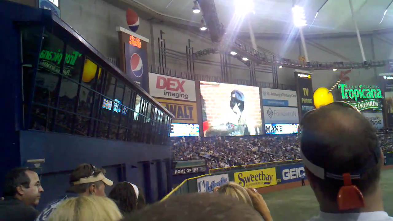 Dj kitty tampa bay rays YouTube