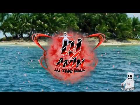 رميكس راي خيالي رهيب طال غيابك Dj Amin In The Mix R Musique 