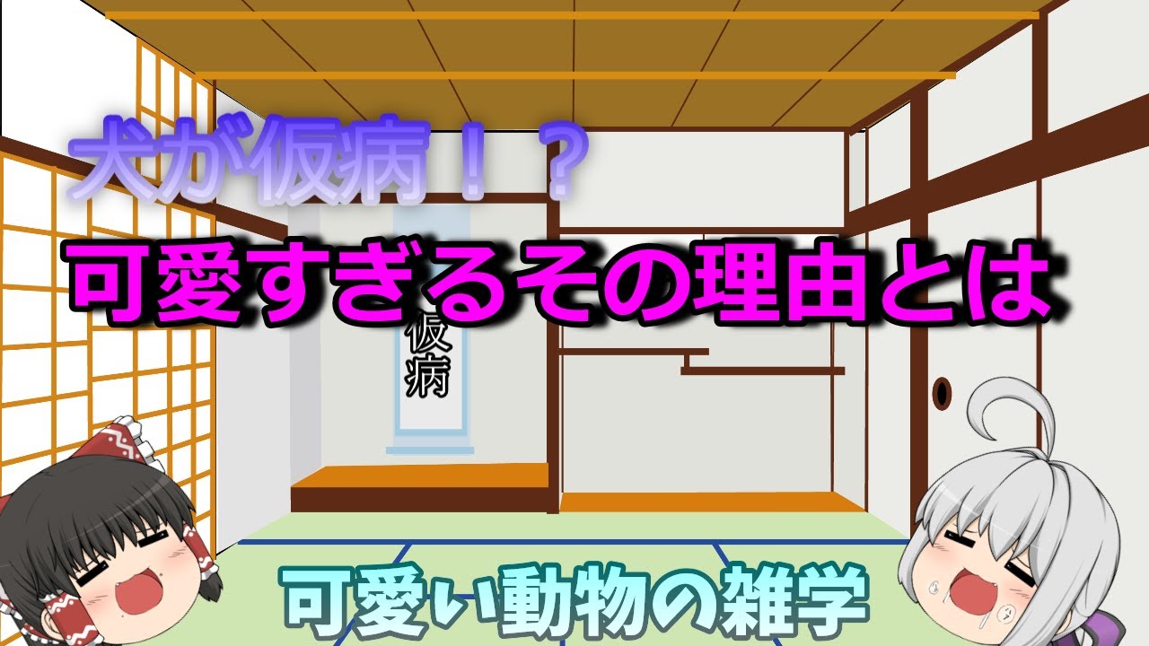 ゆっくり解説 犬が仮病を使う 可愛い動物の雑学 動物がかわいいyoutube動画はここだ