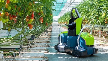 Automated Tech that Might Leave Humans Jobless in the Future..