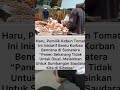 PEMILIK KEBUN TOMAT INI INISIATIF...#shortsfeed #shere #shorts