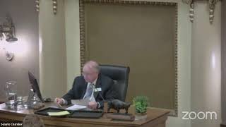 Senate Floor Budget Session-Day 14, March 3, 2022 -PM