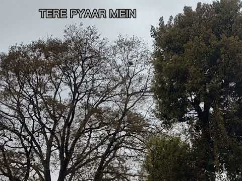 Tere Pyaar mein cover [org by kavish]