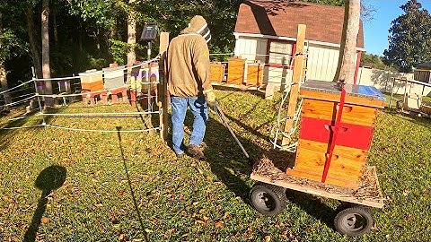 Verplaatsen van bijenkorven