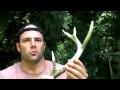 Beginning of video