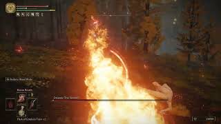 [ER] Draconic Tree Sentinel RL1 No Upgrades/Ashes hitless strat