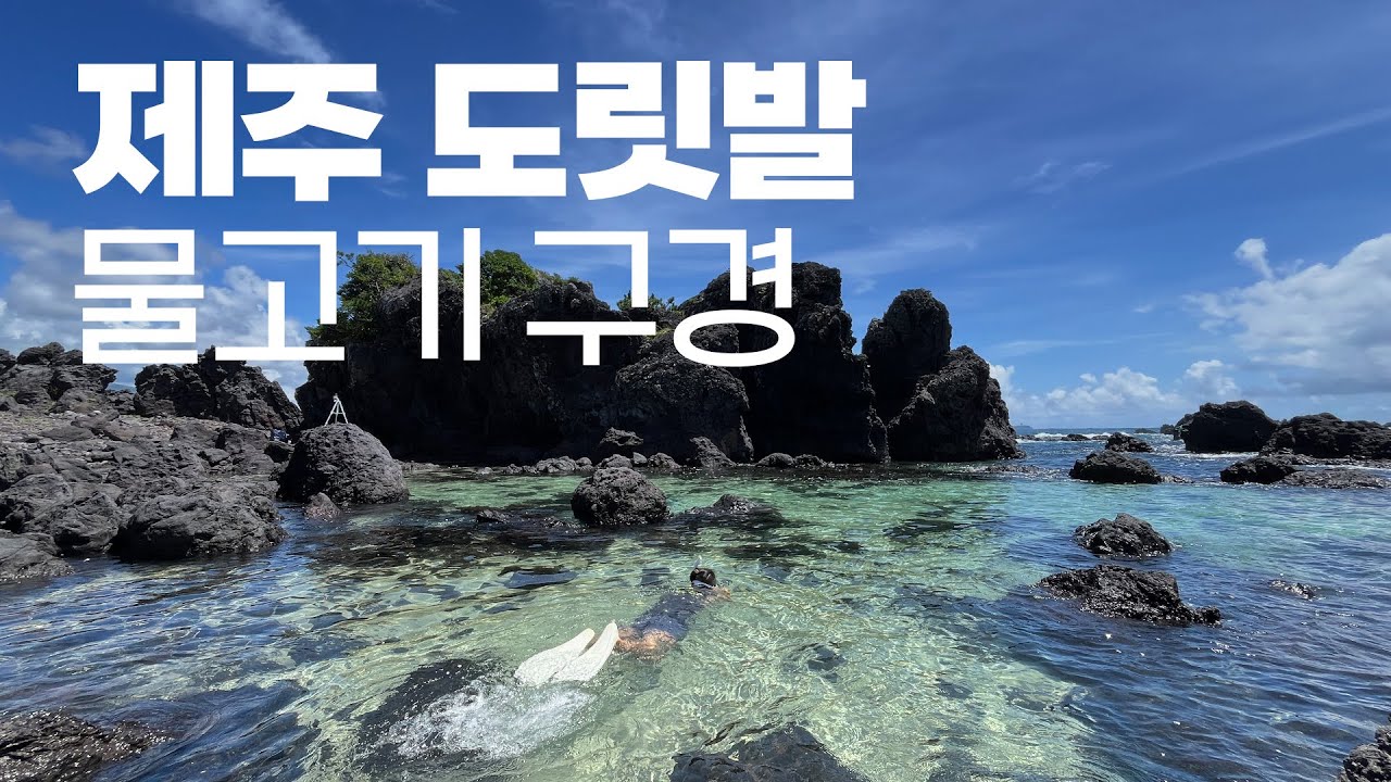 제주 스노클링 숨은 명소 도리빨에서 놀았습니다 | 제주 도릿발 물고기 구경