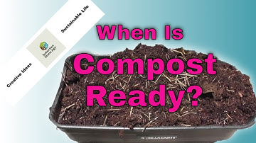 How to Tell when you Compost is Ready and How to Use it