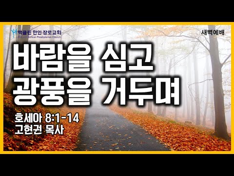 바람을 심고 광풍을 거두며 썸네일