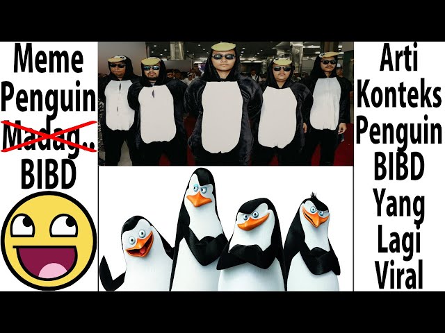 Arti Konteks Meme Penguin BIBD class=