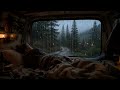 Rain on Campervan | Rain Ambience No Thunder | Rain Sounds for Sleeping 4