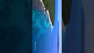 Nature in 8K ULTRA HD | Tropical Paradise &amp; Blooming Florals (4K) 🌎 #nature #dreamylandscapes