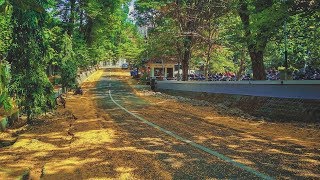 Keindahan Musim Gugur di Kampus UNS