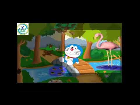 Lqvt: nhận biết các phía