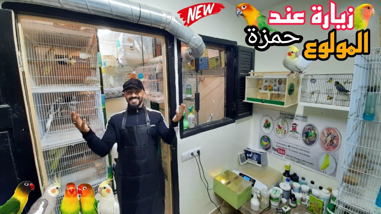 زيارة عند المولوع حمزة🔥جميع المعلومات التي يحتاجها المربي لتربية ناجحةمن تغدية مكملات التأكيل اليدوي