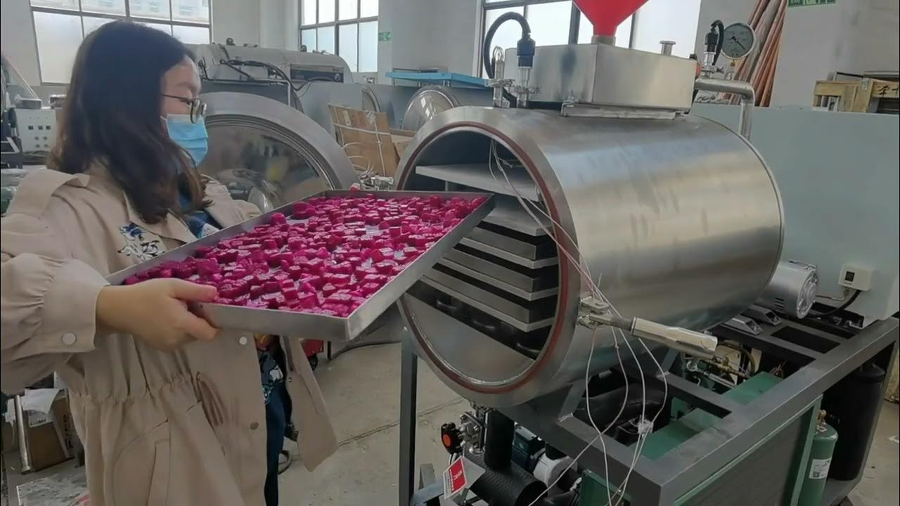 Liofilizador Perú, maquina, equipo de liofilizacion, fabricantes y proveedores para liofilizar
