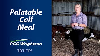 Palatable Calf Meal | PGG Wrightson Tech Tips
