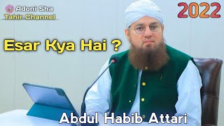 Esar Kya Hai ? Abdul Habib Attari Short Clip ! Dawate Islami Bayan