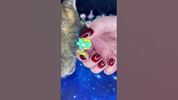 Mini Ice Cream Cup Advent Calendar DAY 14