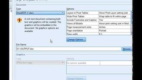 How to export Output data from SPSS to DOC