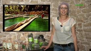 .Verdetv.tv - Spirulina