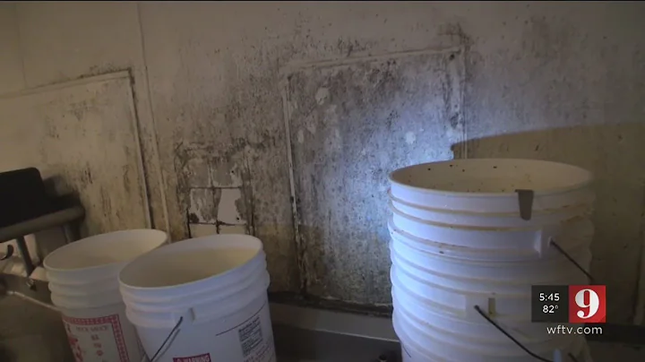 Video: Action 9 goes inside restaurants that keep flunking state inspections